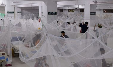 ডেঙ্গুতে ১৯ জনের মৃত্যু, হাসপাতালে ভর্তি ৩০৩৩ রোগী