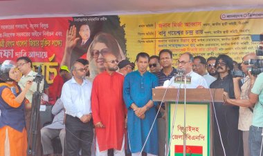 সরকারকে পদত্যাগে বাধ্য করে খালেদা জিয়াকে চিকিৎসার জন্য বিদেশে পাঠাবো: মির্জা আব্বাস 