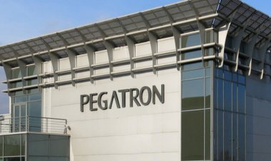 আইফোন মেকার পেগাট্রন চেন্নাইয়ের কাছে প্ল্যান্টে অগ্নিকাণ্ডের পর উৎপাদন বন্ধ করে দিয়েছে