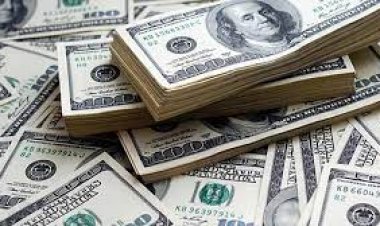 বৈদেশিক মুদ্রার ঘাটতি বড় দুশ্চিন্তার কারণ: ফিচ রেটিংস