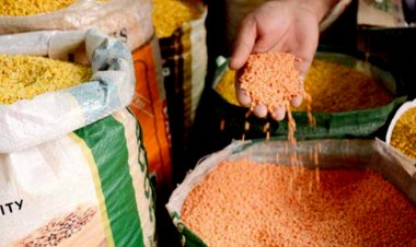  কানাডার সঙ্গে দ্বন্দ্বে ভারতে ডালের বাজার টালমাটাল