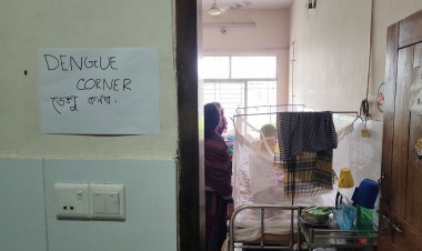 বরিশালে ডেঙ্গুতে ২ জনের মৃত্যু, হাসপাতালে ভর্তি ৩৯৮