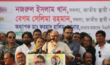 গণতান্ত্রিক বিশ্বও এই সরকারকে আর ক্ষমতায় দেখতে চায় না: নজরুল ইসলাম খান 