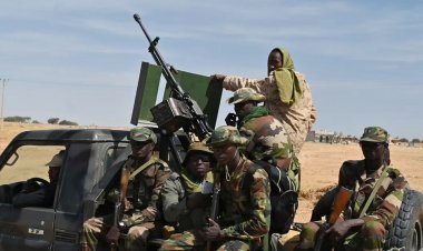 নাইজারে সশস্ত্র বিদ্রোহীদের হামলায় ১২ সেনা নিহত