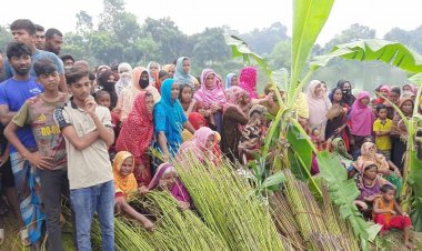 ব্রিজে ঝুলন্ত অবস্থায় পল্লি চিকিৎসকের মরদেহ উদ্ধার
