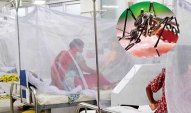 ডেঙ্গুতে একদিনে ৮ মৃত্যু, আক্রান্ত ছাড়াল ২ লাখ