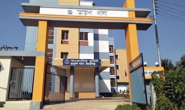 ভাতিজার শাবলের আঘাতে প্রাণ গেল চাচার