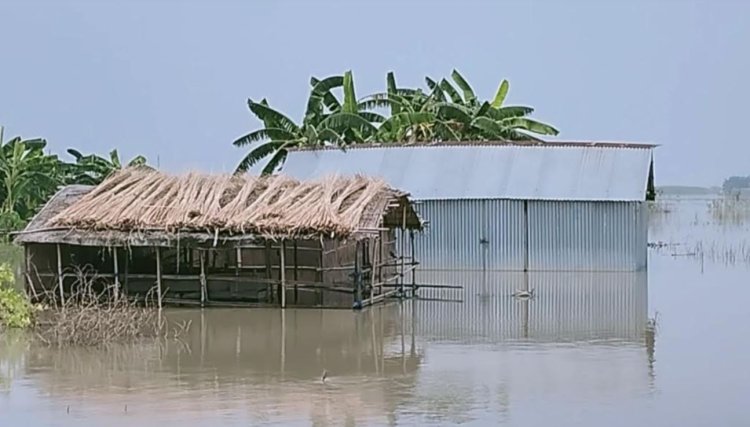 টাঙ্গাইলে পানিবন্দি ২০ হাজার মানুষ