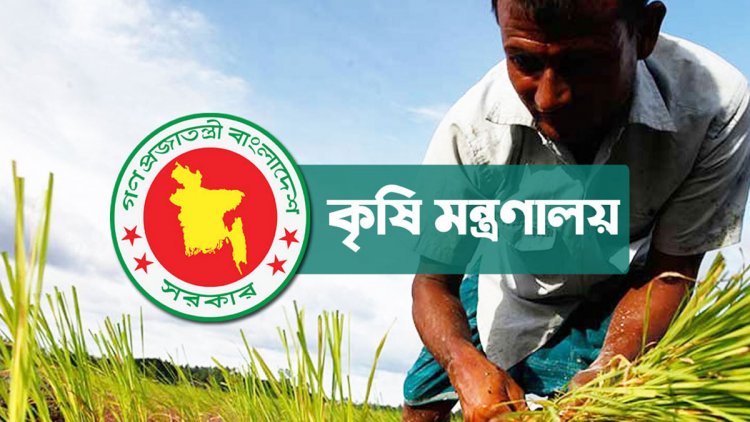 পেঁয়াজসহ ১০ ফসলের উৎপাদন বাড়াতে ১৮৯ কোটি টাকার প্রণোদনা