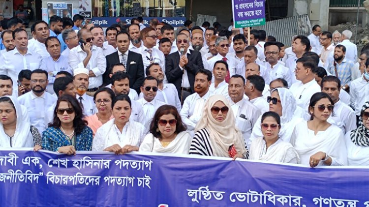 বিচারপতিরাও রাজনীতির মাঠে নেমেছে : জয়নুল আবেদীন