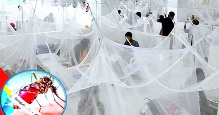 স্মরণকালের সবচেয়ে ভয়াবহ ডেঙ্গুর কবলে বাংলাদেশ: ডব্লিউএইচও