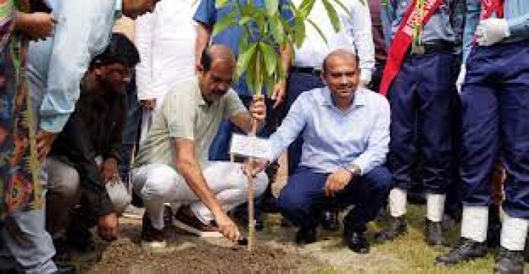 প্রতিটি বাড়িতে গাছ লাগানোর আহ্বান মেয়র আতিকের