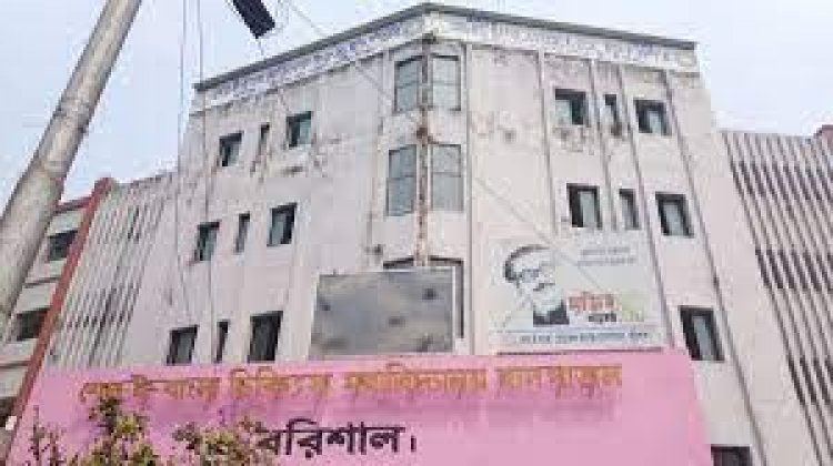 বরিশাল বিভাগে ডেঙ্গুতে ৪ নারীর মৃত্যু, নতুন শনাক্ত ৩৯১ জন