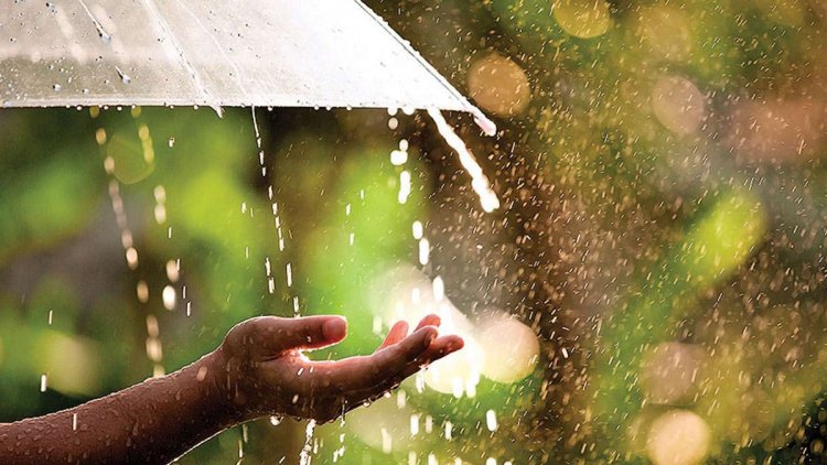 দুপুরের মধ্যে ঢাকাসহ ১৩ জেলায় বজ্রবৃষ্টির আভাস