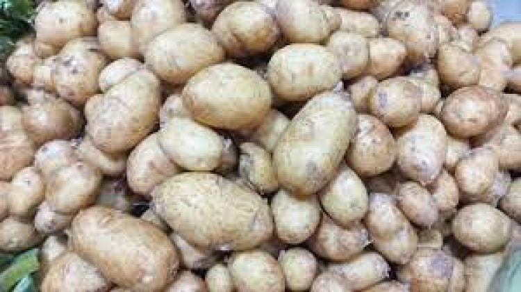 আলু নিয়েও কারসাজি