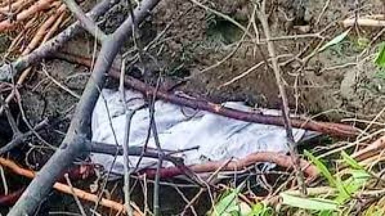 চাঁদপুরে কবর দেওয়ার ২৮ বছর পর মিলল অক্ষত লাশ