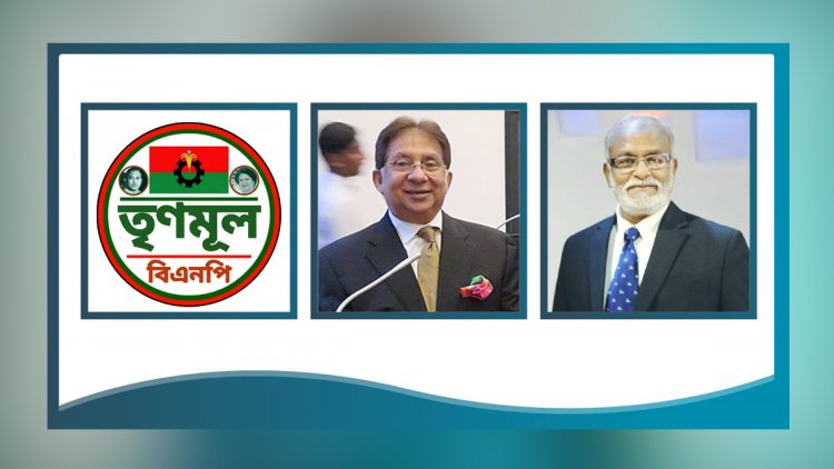 তৃণমূল বিএনপির চেয়ারম্যান শমসের, মহাসচিব তৈমুর
