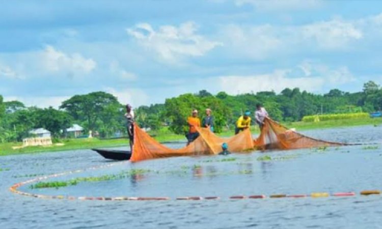 ভরা মৌসুমেও মাছের আকাল, বাজারে চড়া দাম