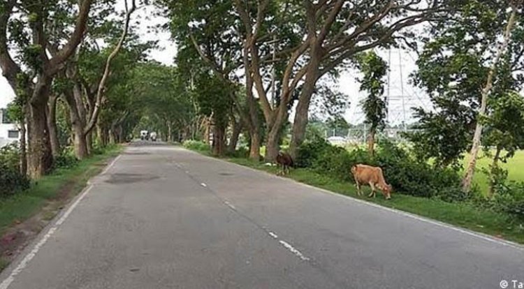 ২৪৩ কোটি টাকায় হবে দুই আঞ্চলিক মহাসড়কের সংস্কার