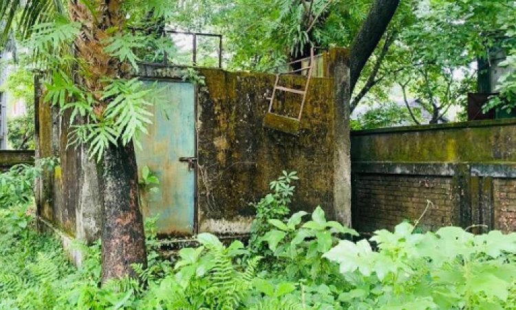 হাতিয়ার লাশকাটা ঘর নিজেই যেন লাশ!