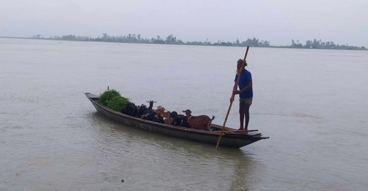তিস্তায় বাড়ছে পানি, খুলে দেওয়া হয়েছে ৪৪ গেট
