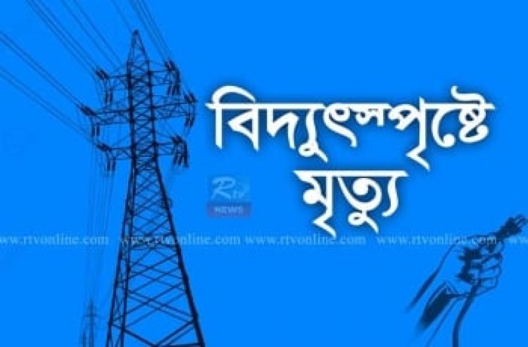 বিদ্যুৎস্পৃষ্টে প্রাণ গেলো ইলেকট্রিশিয়ানের