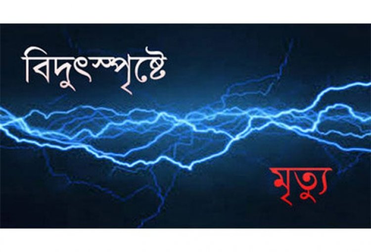 নোয়াখালীতে বিদ্যুৎস্পৃষ্টে ২ শিশুর মৃত্যু