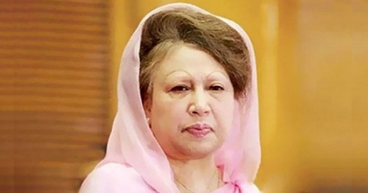 খালেদা জিয়ার স্থায়ী মুক্তি ও বিদেশে চিকিৎসা চেয়ে ভাইয়ের আবেদন