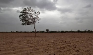 ভারতে ৫ বছরের মধ্যে সবচেয়ে কম বৃষ্টিপাত, কৃষি উৎপাদন নিয়ে শঙ্কা