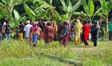 মুন্সীগঞ্জে দুই অটোরিকশা চালকের লাশ উদ্ধার