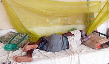  রাজবাড়ীতে আরও ৫২ জনের ডেঙ্গু শনাক্ত