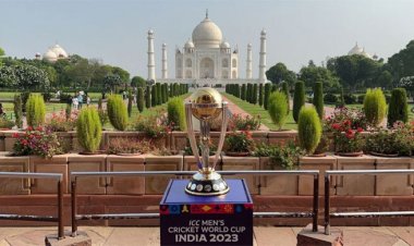 কিংবদন্তিদের চোখে বিশ্বকাপের ফাইনাল খেলবে কারা?