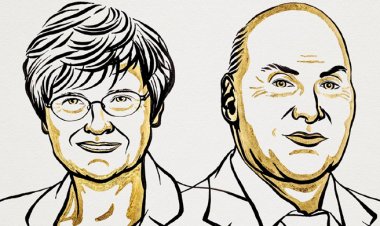 চিকিৎসায় নোবেল জিতলেন দুই বিজ্ঞানী