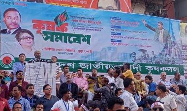 সরকার আইনের অপব্যাখা দিয়ে খালেদা জিয়াকে বন্দী রেখে  হত্যা করতে চায় : মির্জা ফখরুল