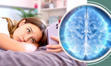 প্রাপ্তবয়স্ক হওয়ার সঠিক বয়স ৩০, দাবি গবেষকদের