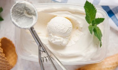 ভ্যানিলা আইসক্রিম তৈরির রেসিপি