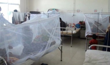  বরিশালে নতুন ৩৬১ জনের ডেঙ্গু শনাক্ত, মৃত্যু ১