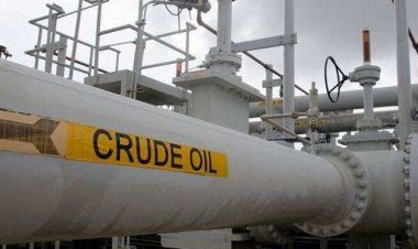 বিশ্ববাজারে কমেছে তেলের দাম