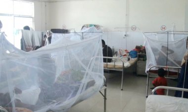  বরিশালে আরও ৩ ডেঙ্গু রোগীর মৃত্যু, শনাক্ত ২৯৪