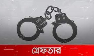 ঢাকা মহানগর বিএনপির দুই নেতাকে গ্রেপ্তারের অভিযোগ