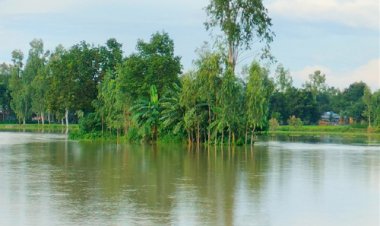 গাইবান্ধায় তিস্তার পানি বিপৎসীমার ওপরে, প্লাবিত নিম্নাঞ্চল