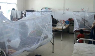  বরিশালে ডেঙ্গুতে বৃদ্ধের মৃত্যু, শনাক্ত ২৭৩