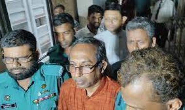 বার্নিকাটের গাড়িতে হামলা: বদিউল আলমের শ্যালক ইশতিয়াকের জামিন  