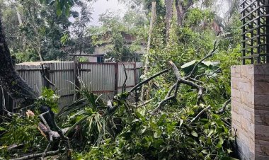 ফরিদপুরে এক মিনিটের ঝড়ে শতাধিক ঘরবাড়ি ক্ষতিগ্রস্ত