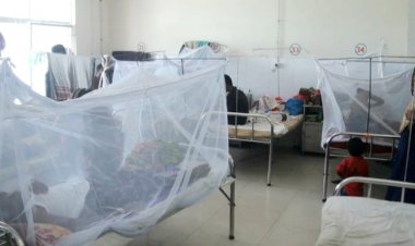 বরিশালে নতুন ২৯০ জনের ডেঙ্গু শনাক্ত, মৃত্যু ১