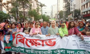 আপনি কি রাজকন্যা,আপনার বাবা কি রাজা ছিলেন প্রধানমন্ত্রীকে রিজভী 