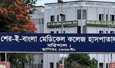 বরিশালে ডেঙ্গুতে ৪ জনের মৃত্যু, হাসপাতালে ভর্তি ৩৬৬