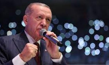 ইসরাইল-ফিলিস্তিনির সংঘাত, যে পদক্ষেপ নিচ্ছে এরদোগান