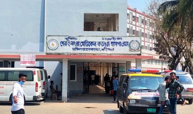  বরিশালে আরও ৩৩১ জনের ডেঙ্গু শনাক্ত