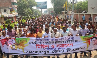 মেহেরপুরে একদফা দাবিতে বিএনপির বিক্ষোভ মিছিল ও সমাবেশ